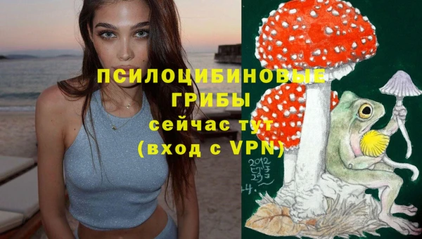 ECSTASY Белоозёрский