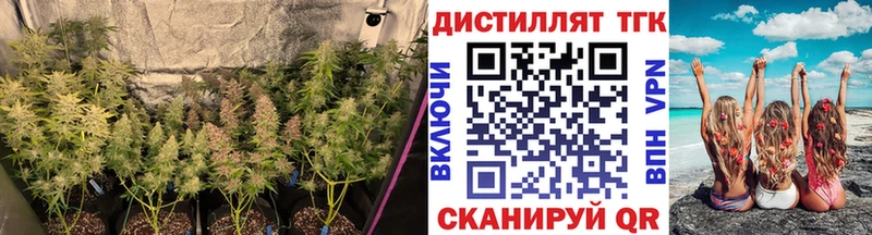 ТГК концентрат  Острогожск 
