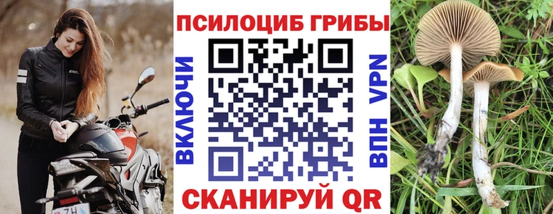 Галлюциногенные грибы Cubensis  Острогожск 